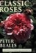 Classic Roses