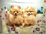 Fleece Blanket POMERANIANS POMERANIAN DOG BK0317