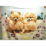 Fleece Blanket POMERANIANS POMERANIAN DOG BK0317