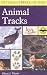 Image of A Field Guide to Animal Tracks (Peterson Field Guides)