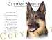 German Shepherd Human Trainer Mouse Pad Dog Mousepad