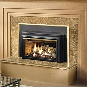 Napoleon GDIZC-N GDIZC-N Direct Vent Fireplace Insert