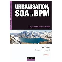 Urbanisation, SOA et BPM - 4�me �dition - Le point de vue du DSI