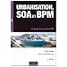 Urbanisation, SOA et BPM - 4�me �dition - Le point de vue du DSI