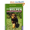Grunderziehung f�r Welpen: Fichtlmeiers Hundeschule