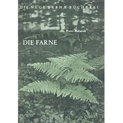 Die Farne