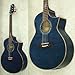 IBANEZ EW30QME/TDB GARM^[