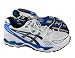 ASICS Gel Kayano 14 Men White Blue Sneakers 2E