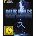 Blue Holes - National Geographic [Blu-ray]