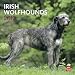 Irish Wolfhounds 2012 Square 12X12 Wall Calendar