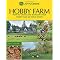 Interesting and Fun Hobbies and Activities