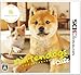 nintendogs + cats 柴 & Newフレンズ