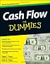 Cash Flow For Dummies (For Dummies (Lifestyles Paperback))