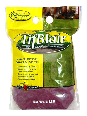 Tifblair Centipede Grass Seed (5 Lb.) Direct From the Farm