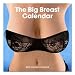 The Big Book of Breasts 2009 Calendar (Wall Calendar)