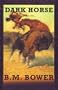 Dark Horse: A Story of the Flying U (Sagebrush Large Print Western Series)