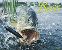 Bass 2010 Calendar