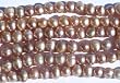 Darice 7 Inch Medium Fresh Water Pearl Strand, Champaign