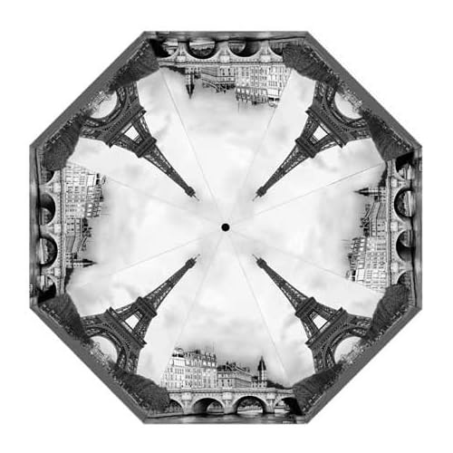 Galleria Paris Umbrella is way prettier than Paris Hilton and will last longer