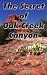 The Secret of Oak Creek Canyon