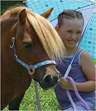 Premium Nylon Ribbon Safety Halter