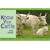 Know Your Cattle