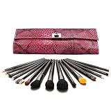 Coastal Scents Deluxe Brush Set, Magenta Reptile