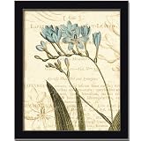 Floral Studies Iii Blue Botanical Flower By Phillippa Collection Art Print Poster Picture... by Framed Art Tilliams