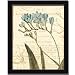 Floral Studies Iii Blue Botanical Flower By Phillippa Collection Art Print Poster Picture Framed Decor 10X12
