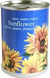 Zoom Produkt-Bild: Sunflowers in der Dose MacFlowers