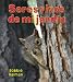 Seres vivos de mi jardin/ Living Things in My Back Yard (Introduccion a Los Seres Viv...