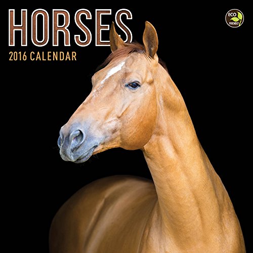 2016 Horses Mini Calendar