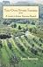 Your Own Private Tuscany: A Guide to Italian Vacation Rentals