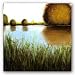 Paisaje I by Ivan Reyes 12"x12" Art Print Poster Latin