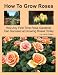 How To Grow Roses