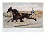 Historic Print (M): The celebrated trotting Stallion Alexander by Ben Patchen, dam by Canada Jack: Record 2: