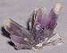 Amethyst Natural Spray Crystal Specimen-Guerrero, Mexico