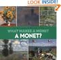 What Makes A Monet A Monet?