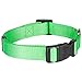 Blueberry Pet Essentials Neon Green Adjustable & Durable Large Dog Collar for Boys | Classic Collars for Large & Small Dogs, Stylish, Sturdy Nylon Collar for Pet Lovers