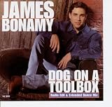  -  Dog On A Toolbox