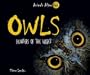 Owls: Hunters of the Night (Animals After Dark)