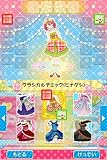 リルぷりっDS ひめチェン! アップルピンク 特典 オリジナルカード『スペシャル(・∀・)ひみつカード』付き
