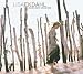 Lisa Ekdahl-Heaven Earth & Beyond