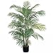 4 Ft Areca Silk Palm Tree