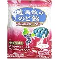 龍角散のど飴カシス&ブルーベリー88g (5入り)