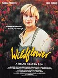 Wildflower