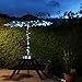 Lycheers 10m 32.8ft 100 led RGB Fairy string Light for Outdoor, Gardens, Homes, Christmas Party (Multicolor)