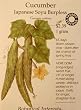 Burpless Japanese Soyu Cucumber Certified Organic Seeds