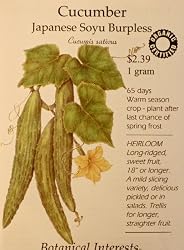 Burpless Japanese Soyu Cucumber Certified Organic Seeds