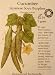 Burpless Japanese Soyu Cucumber Certified Organic Seeds